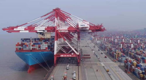 上?？诎痘蛴瓐髲托猿鲐洺?，貨代兇猛報關再現